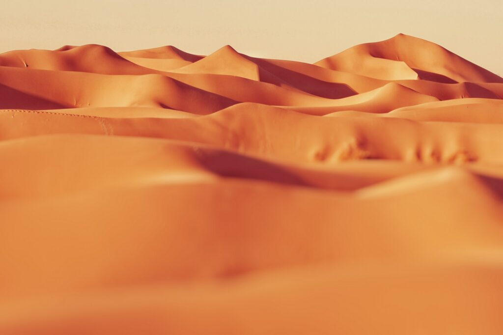 صحرا